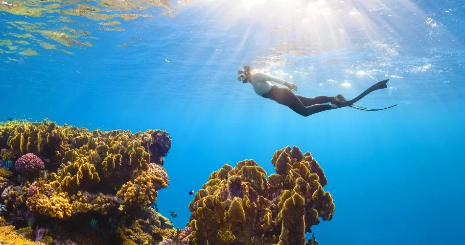 Adventure Awaits: Water Sports & Outdoor Activities in Miami Beach